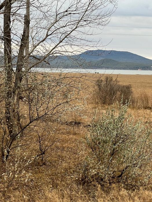 участок 42 соток