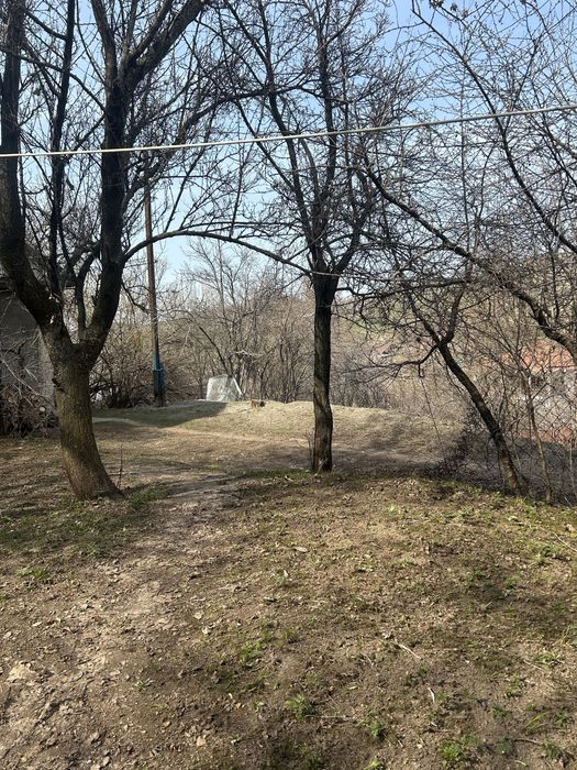 Участок земли ….