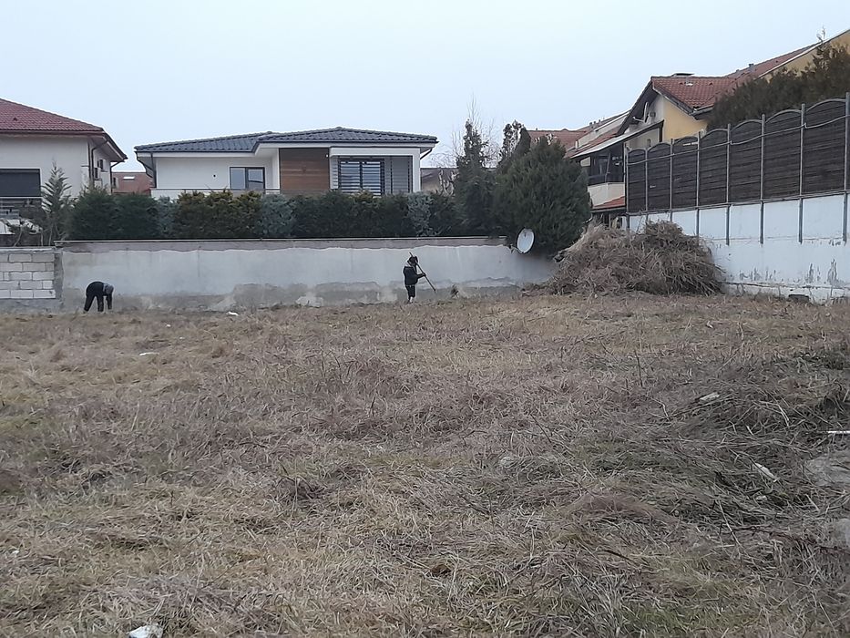 Tăiere copaci defrisari curățare Debarasare evacuare moloz transport