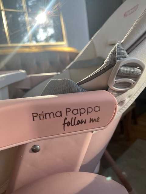 Scaun de Masă PEG PEEGO Prima Pappa Follow Me