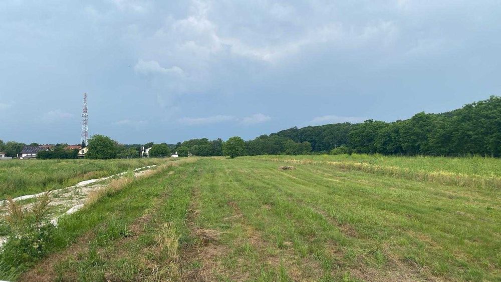 Teren intravilan Snagov – 1.100 mp, lângă pădure și lac, cu gaze și curent