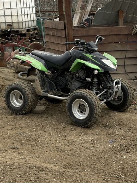 vand cat artic de 300cc