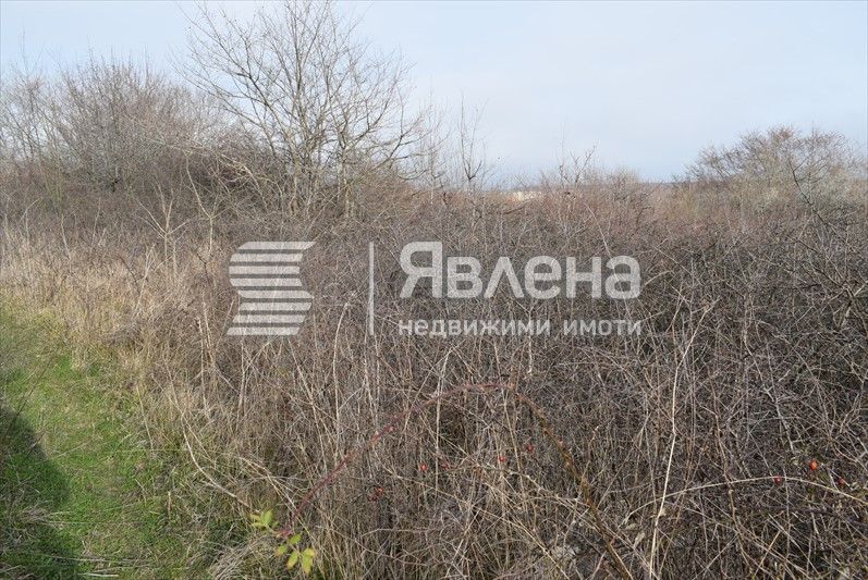 Продава се Парцел в Царево - 3469 кв.м за 30 €/кв.м - Снимка #4