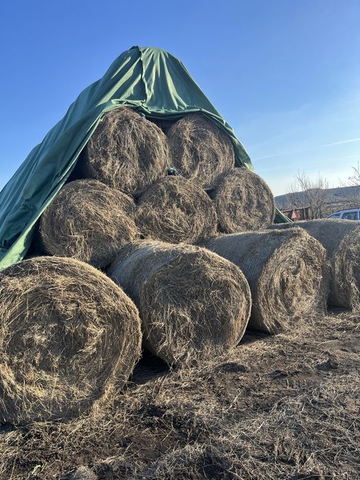 De vanzare baloti de fân