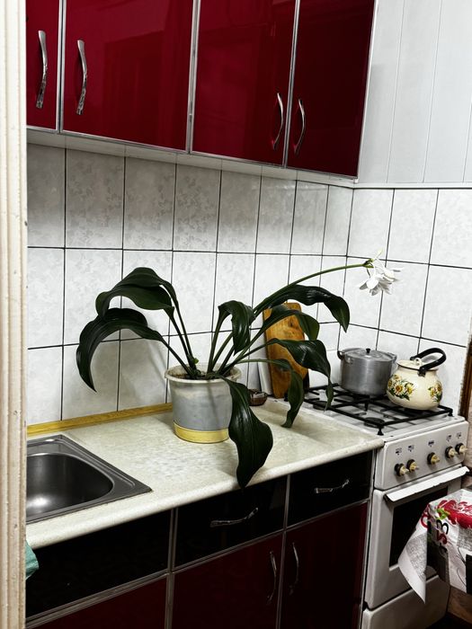 Продается квартира 2/3/5 на Карасу 6