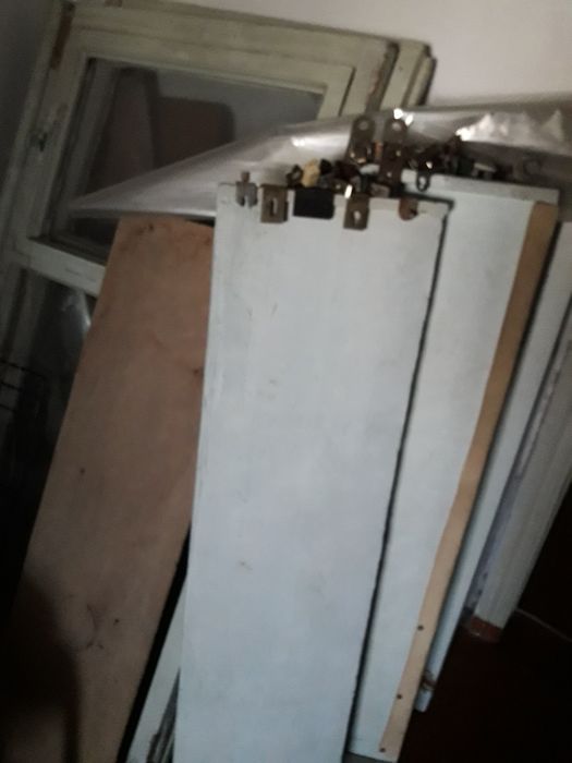 Цветок комнатный.