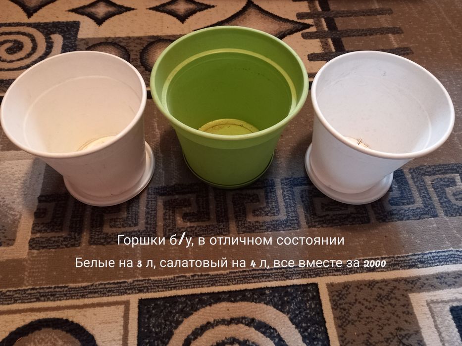 Горшки для цветов, растения