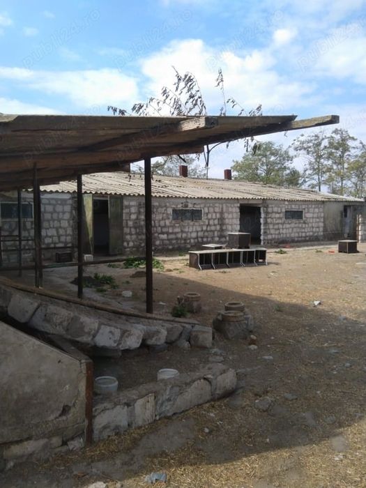 Vând FERMA cu teren 4 hectare Plopeni Constanta