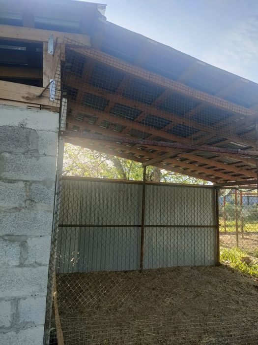 Дача, за Талгаром , ниже автобазы