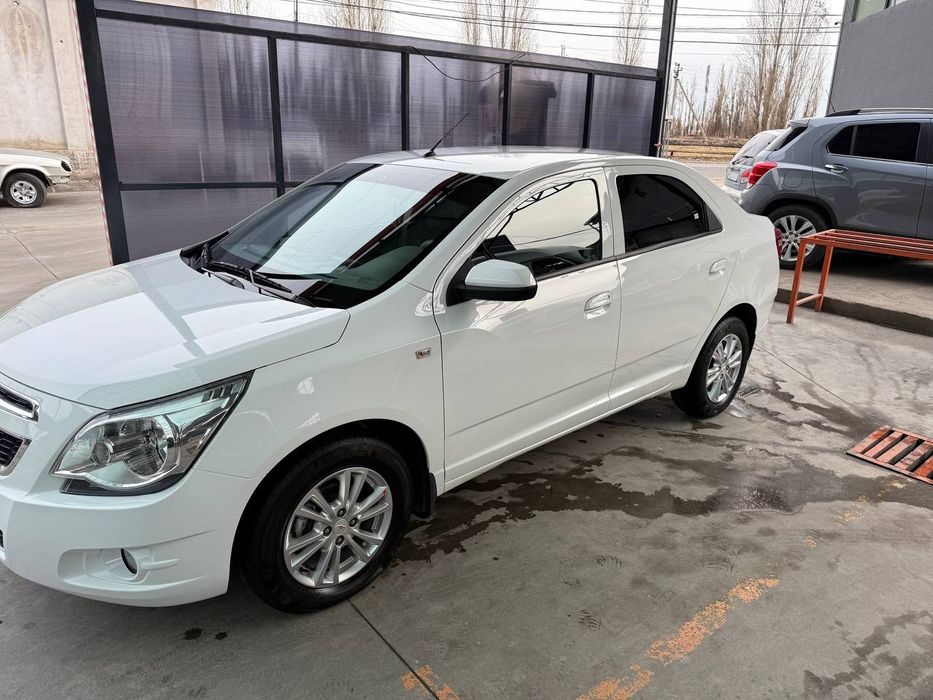 Kobalt.rangi oq.kraskasi tozza.