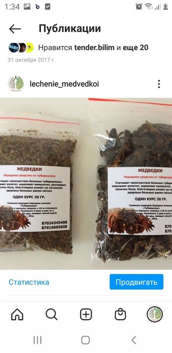 Сушеные медведки