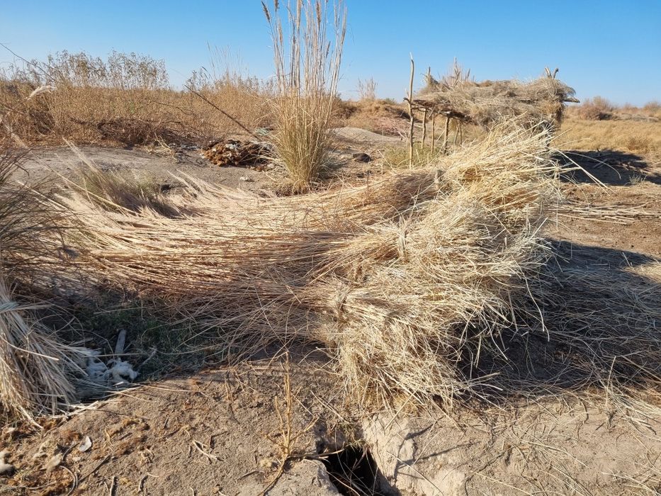 Гишша камиш сотилади..