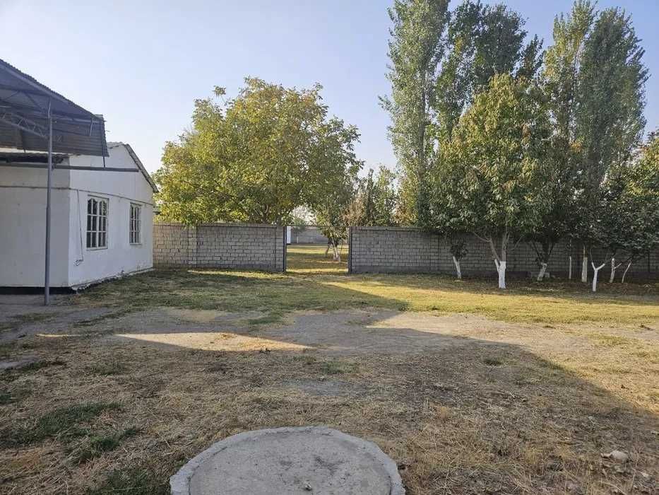 Земля, участок, дом, коттедж 50 соток