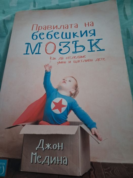 Правилата на бебешкия мозък