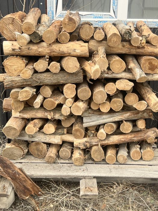 Дрова карагач. Колотые и цельные