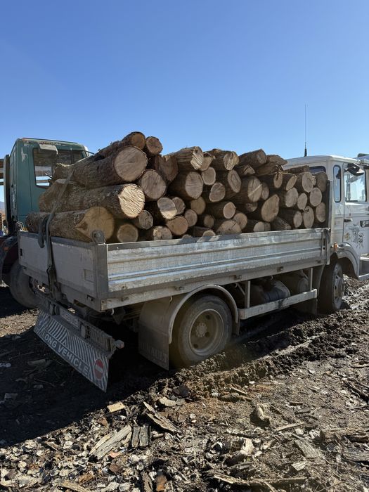 Lemne de foc esenta tare