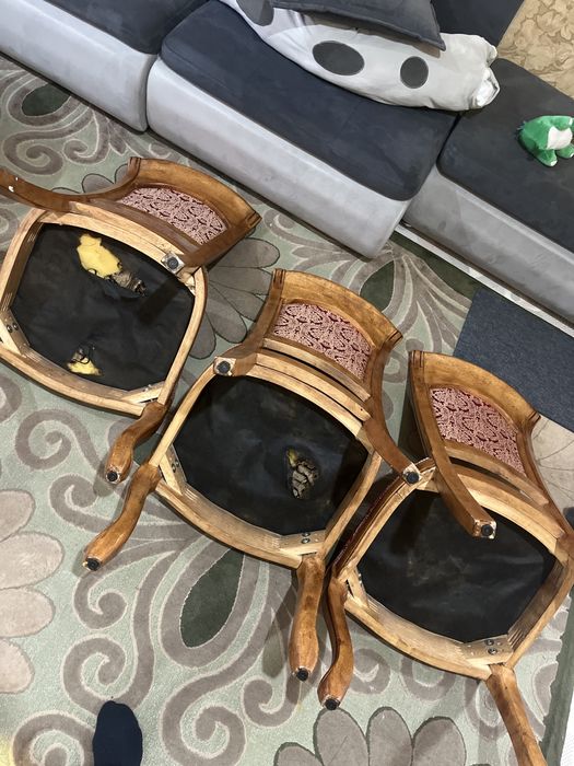 Продам стулья необычные