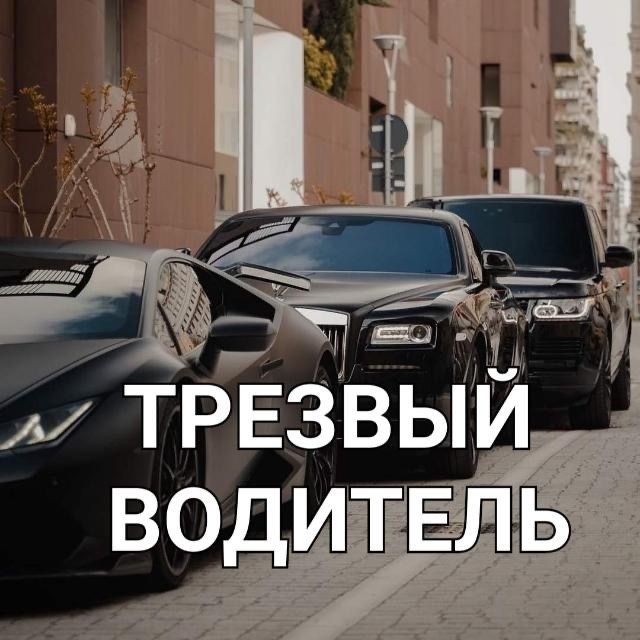 Трезвый водитель