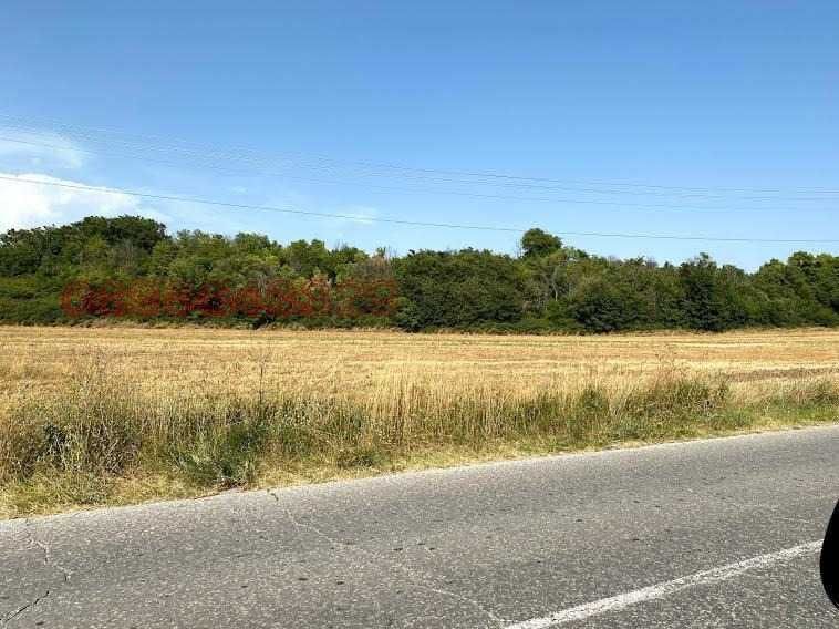 Продава се Парцел в с. Златовръх, Област Пловдив - 5379 кв.м за 7 €/кв.м - Снимка #10