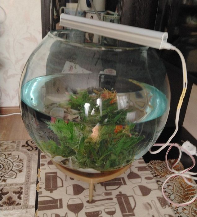 Круглый Аквариум