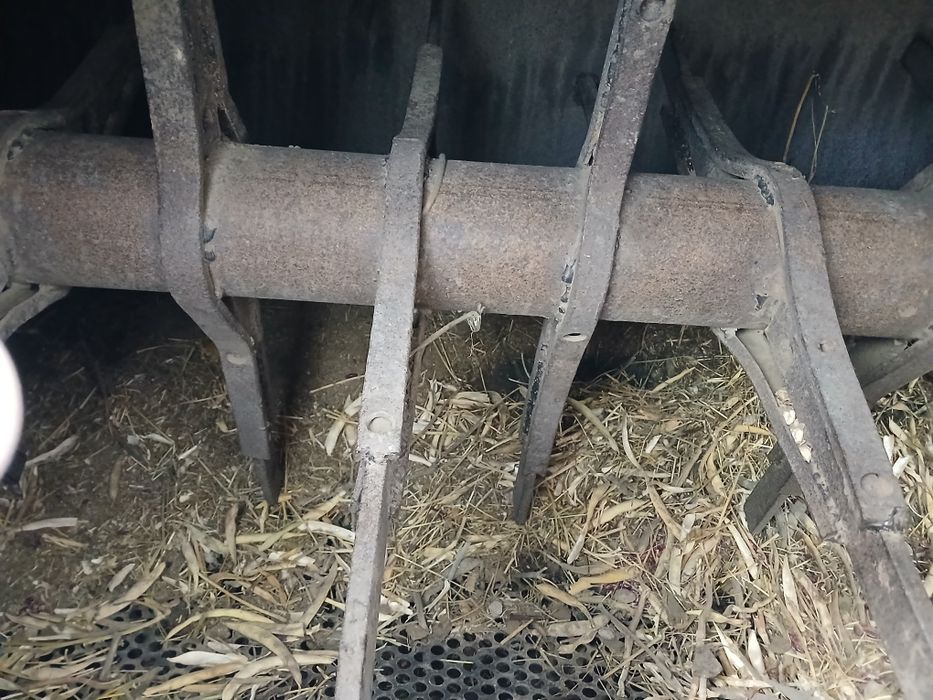 Фасол бочку янги ясалган