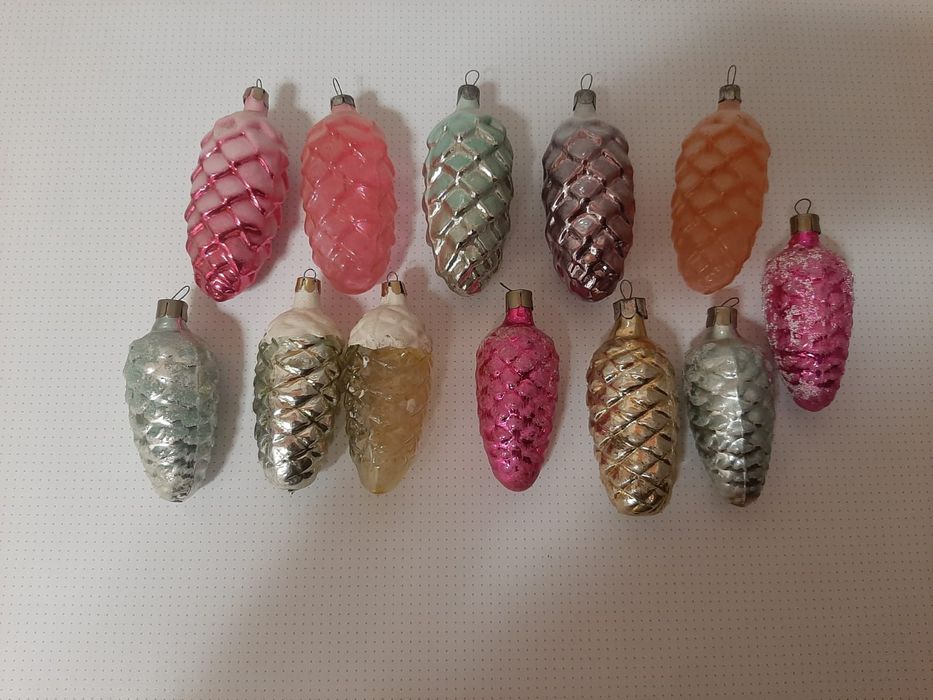 Шишки ёлочные,Отростки декабриста