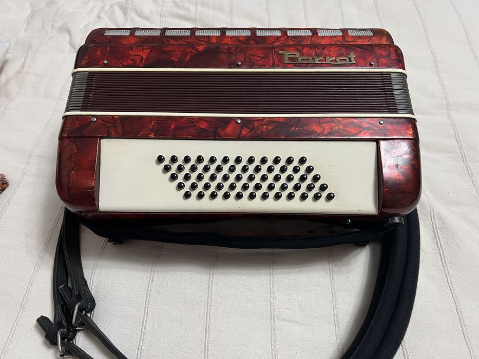 Acordeon Parrot stare impecabila