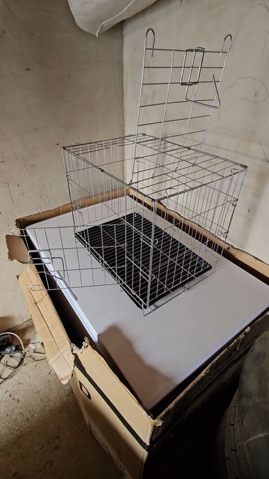 Голуби в удобстве