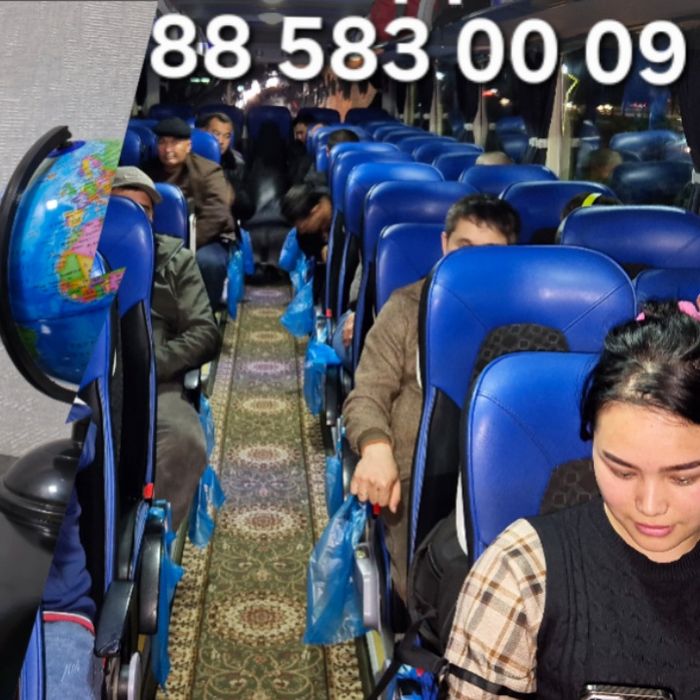 Ташкент Москва автобус