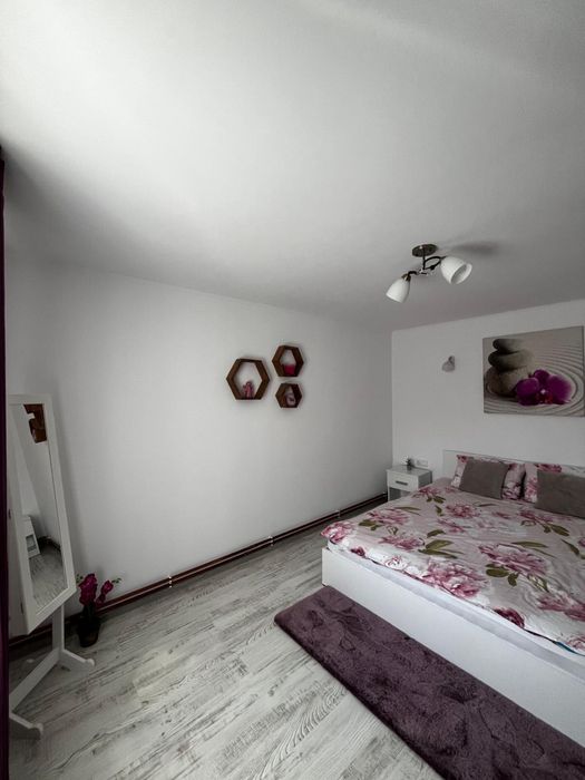 Cabana Ava- Cabană de închiriat pe Valea Avrigului