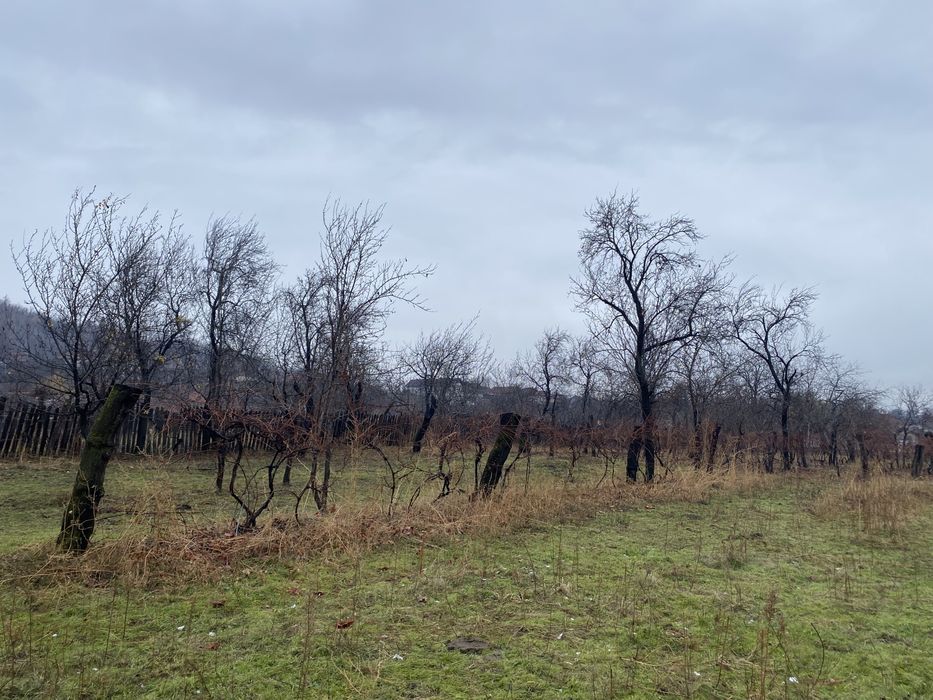 Teren Intravilan Baia de Fier