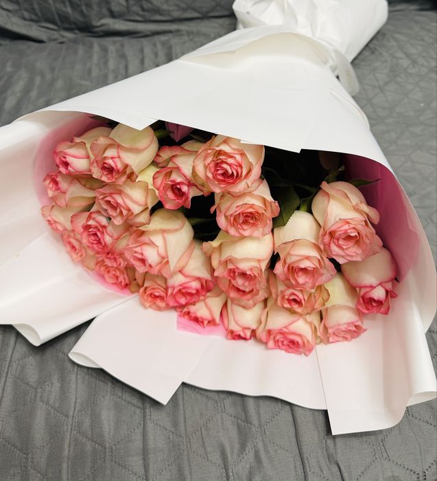 Свежие голландские розы — 25 штук