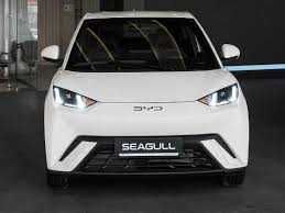 BYD seagull buyurtma asosida