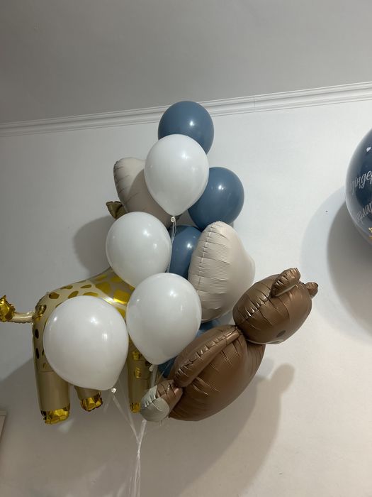 Шары для выпеска , для Двойня мальчиков