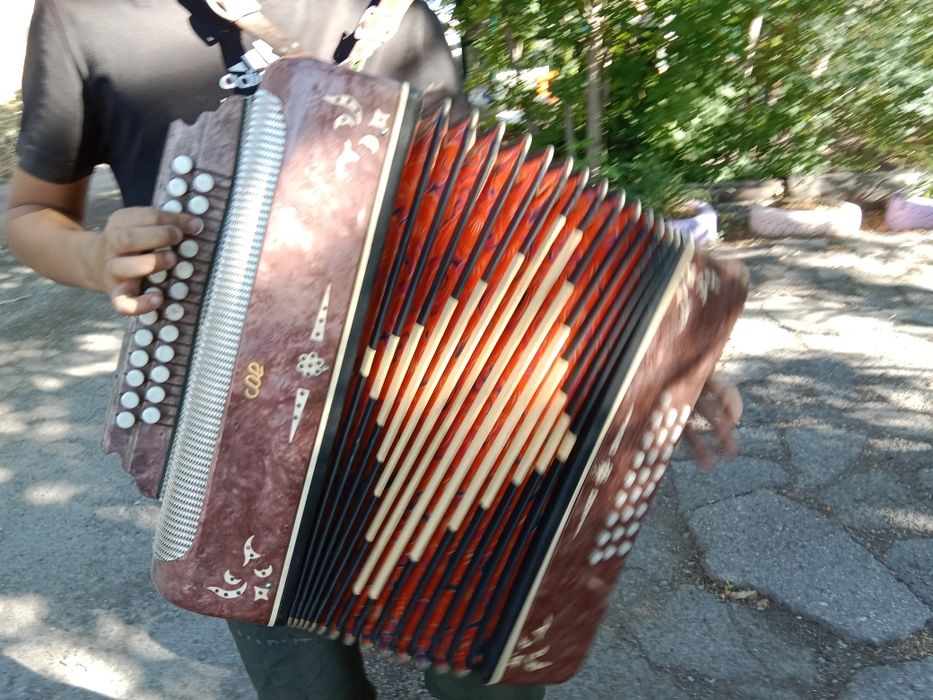 Продам"Боян" в хорошем состоянии.