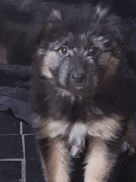 Очаровательные малыши звоночки