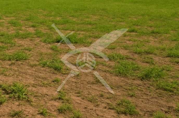 Парцел Ягодово 40799