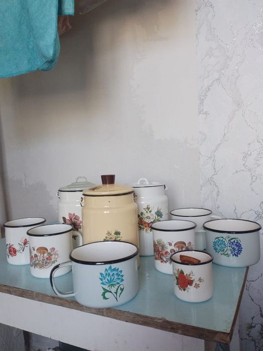 Чайники кружки бидон