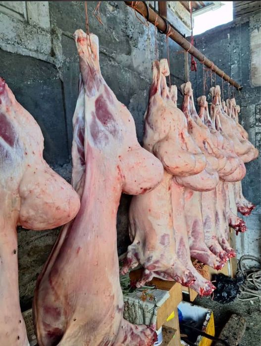 Баранина. Семіз қойлар.