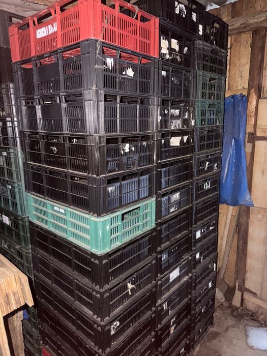 Vand Lăzi plastic