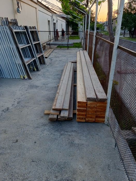 Пракат леса тахта адрес МОТРИД