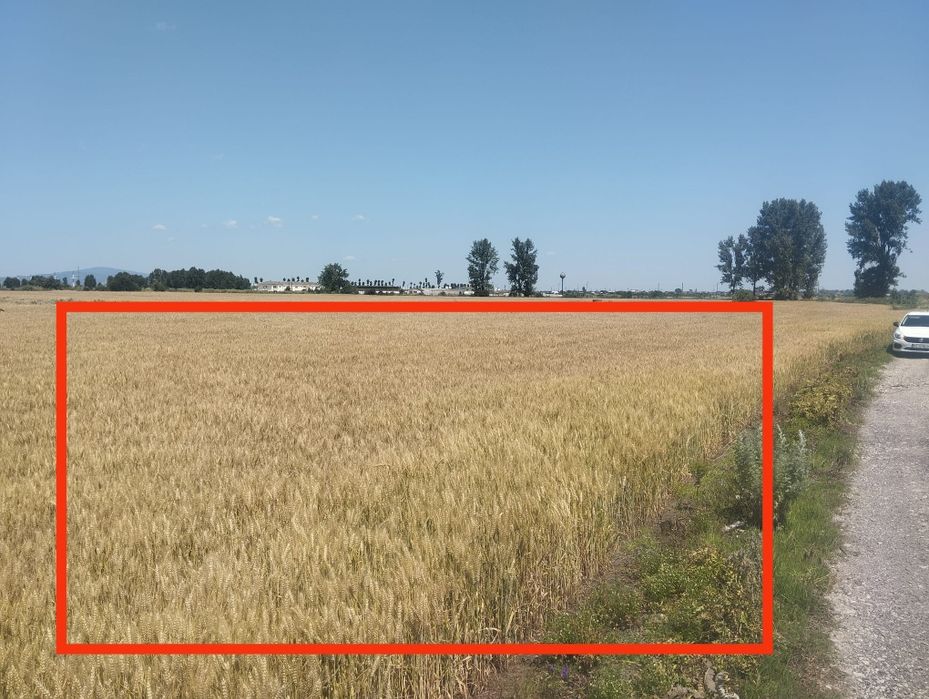 Teren 6500 m - Extravilan - Zona Premium Porc - 7 km de Focșani