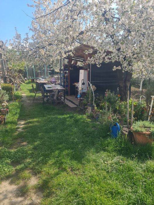 Casa batraneasca - cartierul CFR