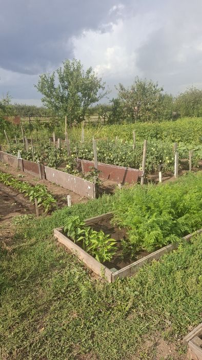 Продам дачу в обществе "Союз"