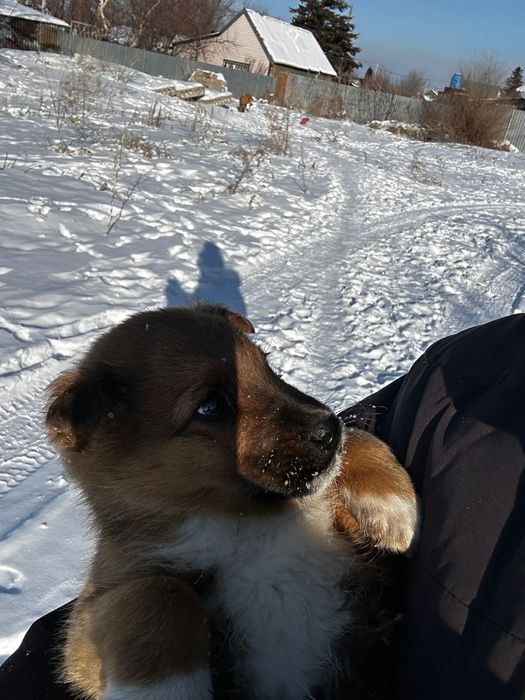 Мальчик ищет дом