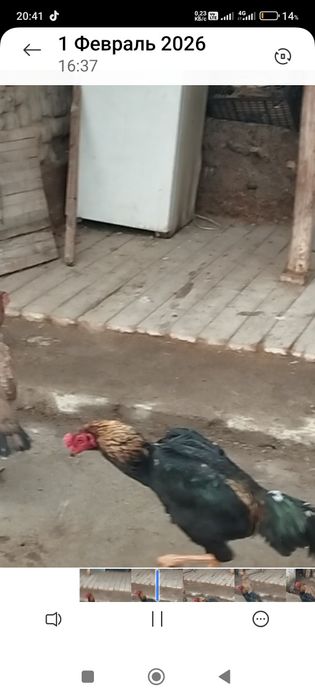 Сатлады срочнаа.