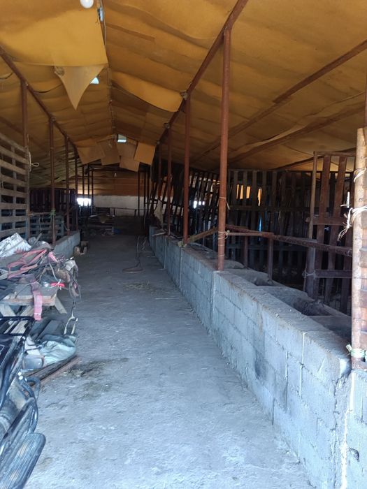 Срочно продам базу. город Алатау.