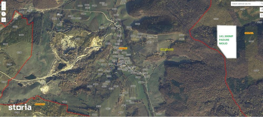 Padure molid 14 Hectare, 30km de Cluj Napoca, sat Sardu, com. Sanpaul