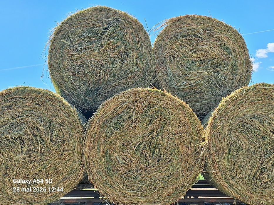 Vând baloti de lucernă 120/120, de calitate foarte bună,bine uscați, depozitati corespunzător!