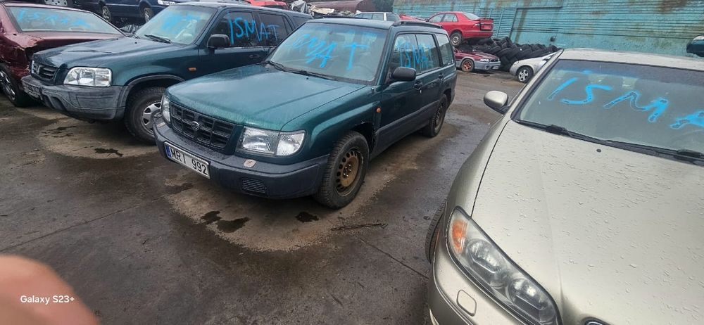 Ноускат авкат привазной